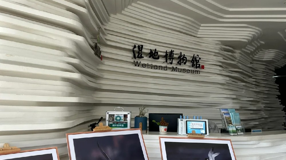 专注、专业、专心，闽江口湿地博物馆项目施工